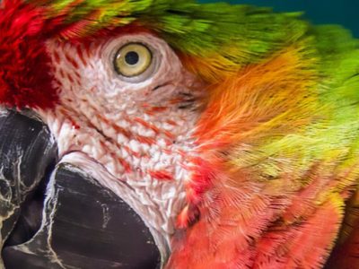 The difference between Pantone, CMYK and RGB colour references